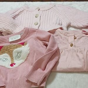 Pink Fox Sweater by Place for Kids